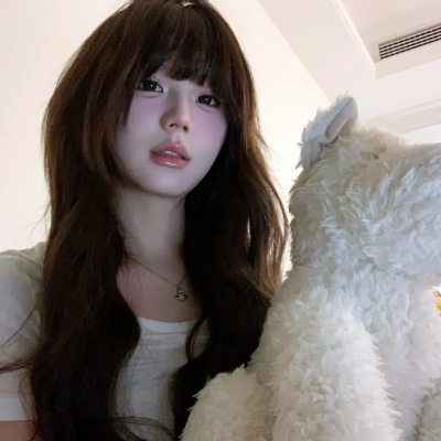 十二生肖城市英雄